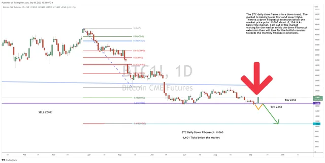 A Big Bounce for BTC… What’s Next?