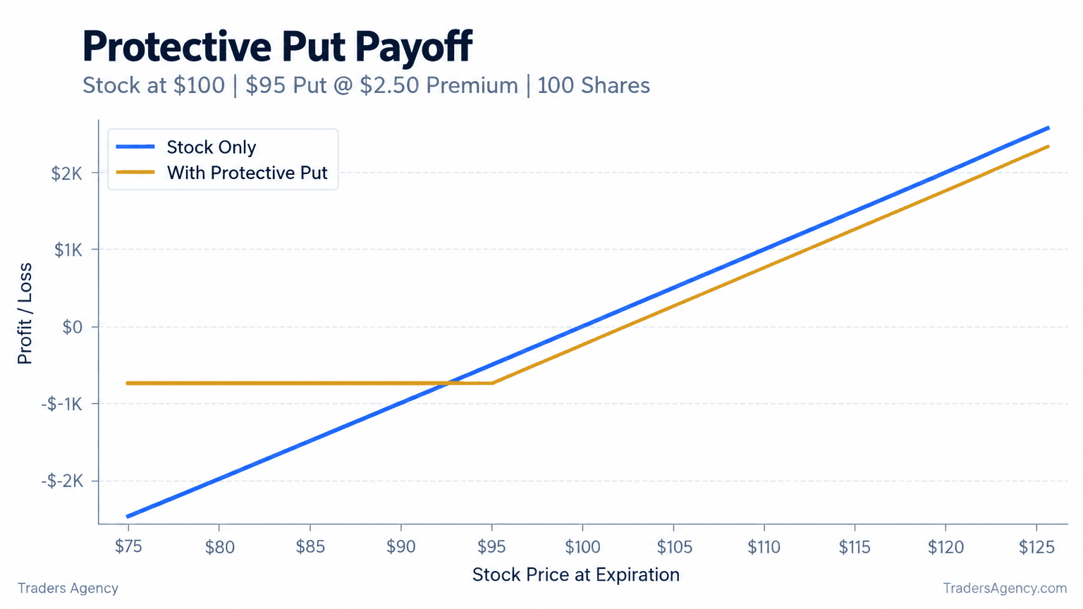 Payoff diagram showing stock ownership with a $95 protective put limiting downside below the strike